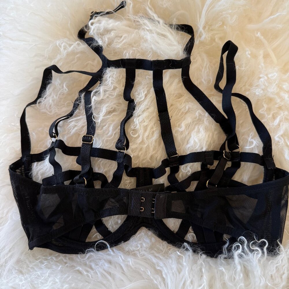 BLUEBELLA PETRA Strappy Black Cage Bra 36D